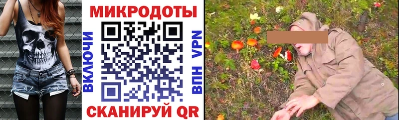 Псилоцибиновые грибы Psilocybine cubensis  Кондрово 